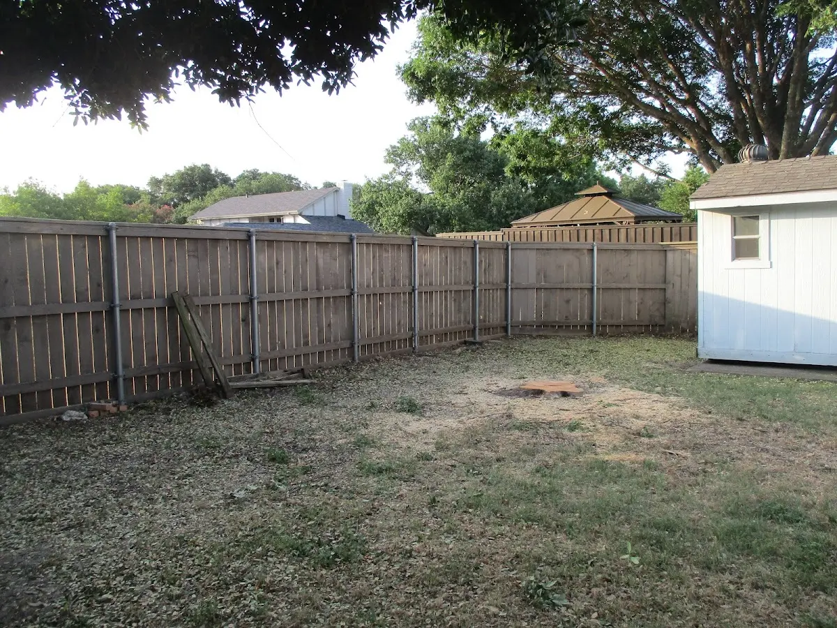 Cleared yard after professional tree removal in Uniontown
